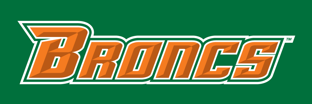 Texas-Pan American Broncs 2010-2014 Wordmark Logo v5 diy iron on heat transfer
